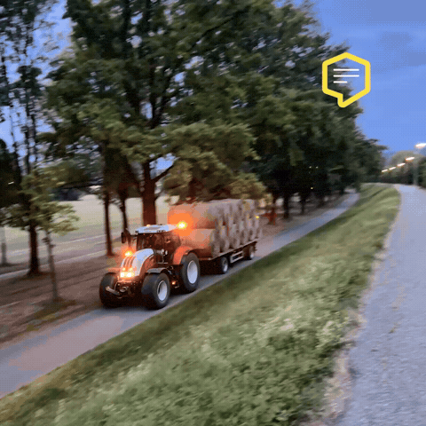 Summer Austria GIF by Linz News