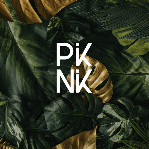 PiKNiK GIF