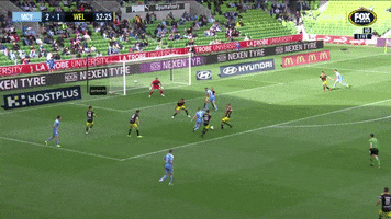 Melbourne City Football GIF by Hyundai A-League