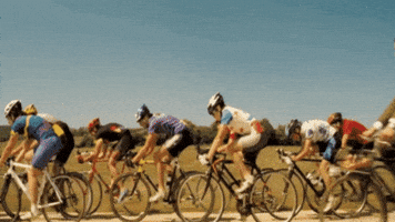 César Ritz Colleges Switzerland GIF
