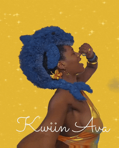 Afro Dolphin GIF by Kwiin Ava