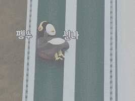 Penguin GIF