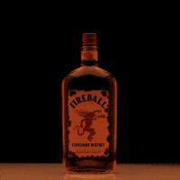 jack daniels shots GIF by Fireball Whisky