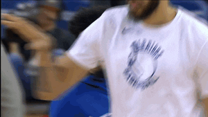 excited javale mcgee GIF by NBA