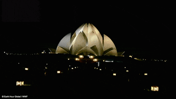 india connect2earth GIF by Earth Hour