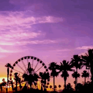 Summer Love GIF