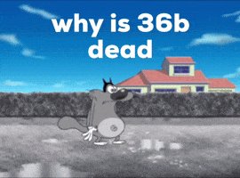 Why Is 36B Dead GIF