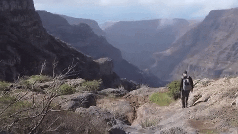 Canary Islands Spain GIF by For 91 Days - Find & Share on GIPHY