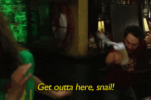 its always sunny in philadelphia television GIF