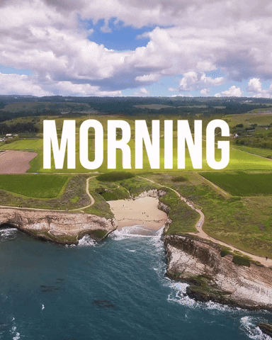 Santa Cruz Morning GIF by Yevbel