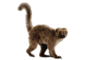 Maki Aida Sticker by AIDA_Cruises