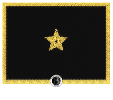 5Dan Sticker by Barreto Taekwondo