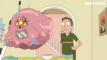 Season 2 Episode 10 GIF by Rick and Morty