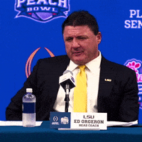 Ncaa Football GIF by LSU Tigers Ncaa Football GIF by LSU Tigers