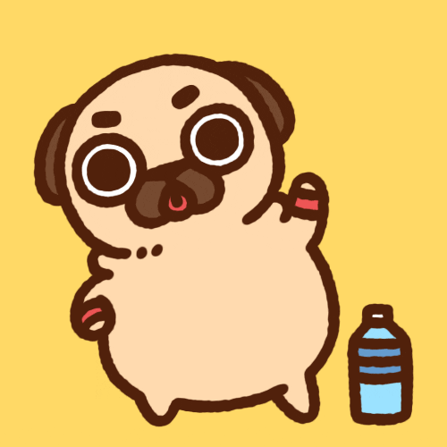 Working Out GIF by Puglie Pug