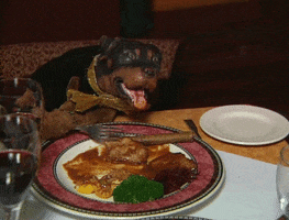 Triumph The Insult Comic Dog Eating GIF by Team Coco