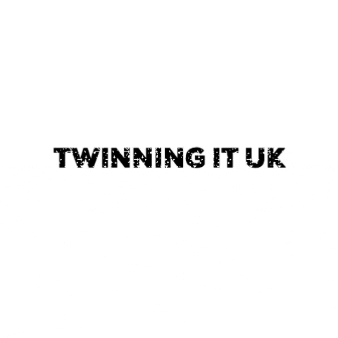 Twins Triplets GIF by Twinning It UK