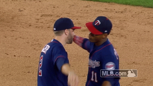Minnesota Twins Hug GIF by MLB - Find & Share on GIPHY