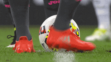 Betmaster GIF