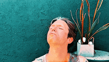 Eggs GIF