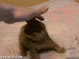 200.gif