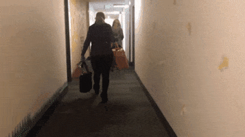 College GIF