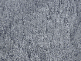 Snow GIF