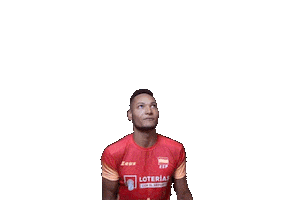 Volleyball Sticker by RedLynxes