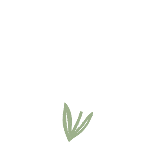 Sticker by Sagely Naturals