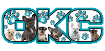 Dog Food Pet Store Sticker by Raw And Paw Co