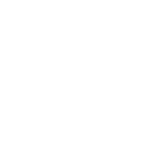 Face Sticker