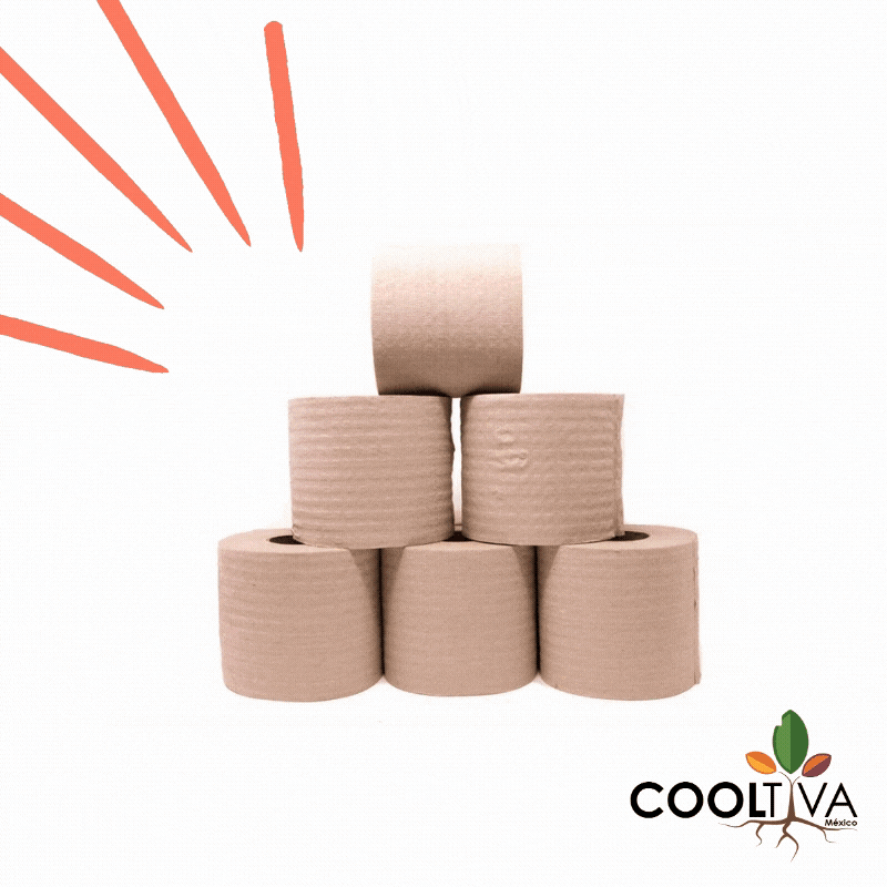 Cooltiva México GIF