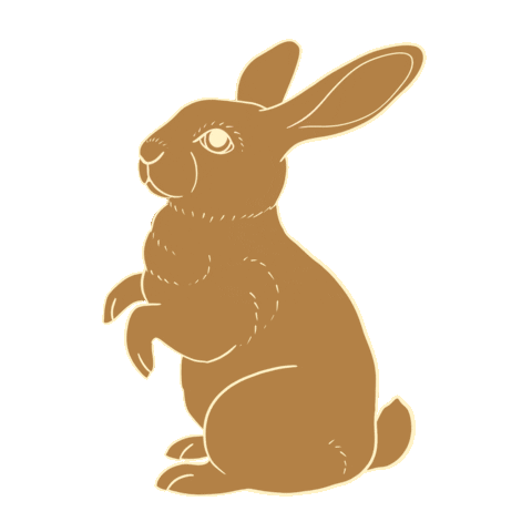 Bunny Rabbit Sticker by Kirbee Lawler