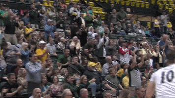 Clapping Fans GIF by William & Mary Tribe Athletics