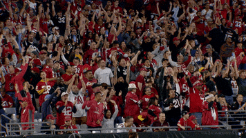 Be Red See Red GIF by Arizona Cardinals