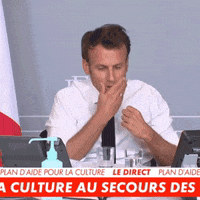 Emmanuel Macron Culture GIF by THEOTHERCOLORS