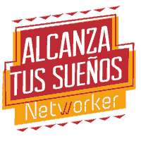 Networker networking networker networkercl networkerchile Sticker