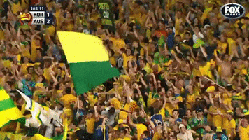 Soccer Celebrate GIF by Football Australia