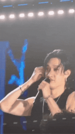 Sassy Stray Kids GIF