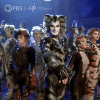 Cats Broadway GIF by GREAT PERFORMANCES | PBS