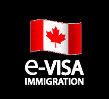 e-Visa Immigration GIF