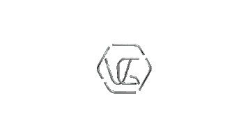 Voichegeyer fashion logo moda spinning Sticker