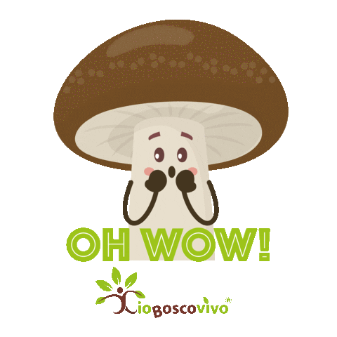 IoBoscoVivo Sticker