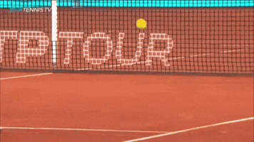 sport vamos GIF by Tennis TV