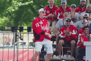 lets go yes GIF by Capitals
