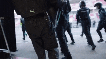 200.gif?cid=fc005b081ab93ac99fb532f09f3b79c5a12ea0f1551e80d2&rid=200.gif&ct=g