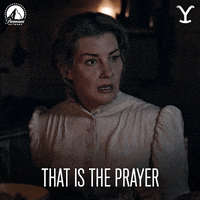 Paramount Network GIF by Yellowstone