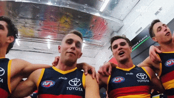 Round 3 Win GIF by Adelaide Crows