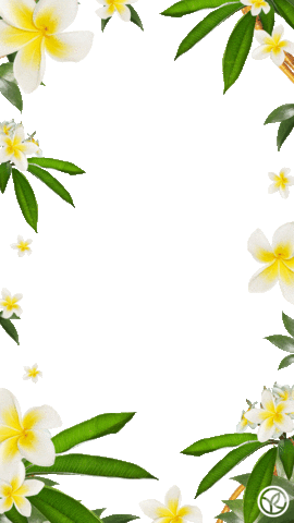 Flower Frame Sticker