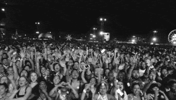 coachella beychella GIF
